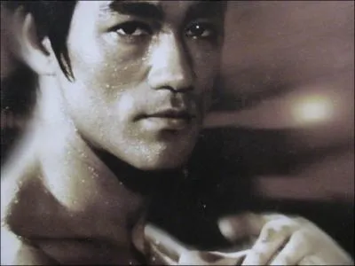 Bruce Lee est n . .