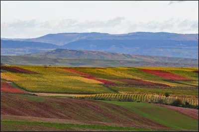 La Hesse est à la fois une région rurale et viticole et un centre financier de premier ordre. De quel pays est-ce une région ?