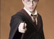 Quiz Harry Potter Qui est-ce ?