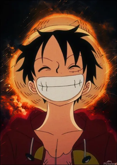 Qui est le premier adversaire de Luffy ?