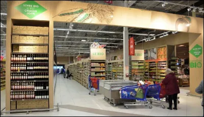 Quel est le plus grand hypermarché de France avec une surface de vente de 28 200 m2, situé en Seine-et-Marne ?