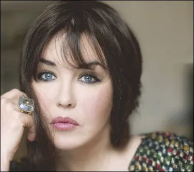 Isabelle Adjani : « Pull marine »

Retrouve-moi au fond d’l’a piscine
Avant que ça m’assassine
De continuer sans toi
.......................................
J’te r’ferai plus le plan de la star
Qui a toujours ses coups de cafard