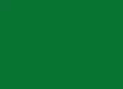 Quiz Les couleurs : vert