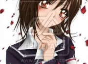 Quiz Vampire knight