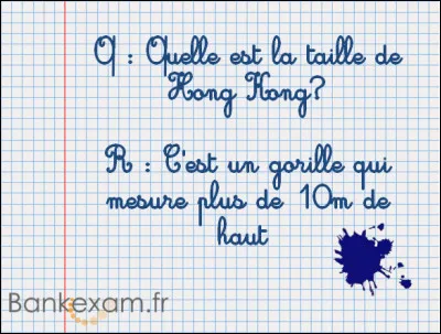 Un pilier le fréquente, un loup porte son nom !