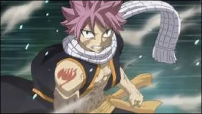 Qui est la petite amie de Natsu Dragnir ?