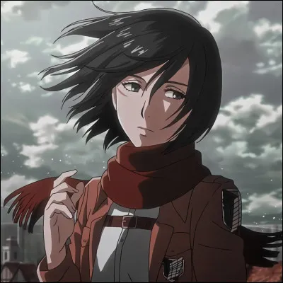 Comment s'appelle le frère adoptif de Mikasa Ackerman ?