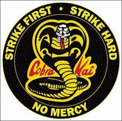 Qui la personne qui a fondé Cobra Kai est-elle ?