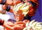 Quiz Dragon Ball (17)