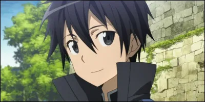 Quel est le véritable nom de Kirito ?