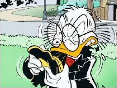 Flairsou n'échappe pas à la règle d'or ! C'est Carl Barks qui le fait apparaitre pour la première fois... et la seule, puisqu'il ne réutilisera jamais le personnage ! Ce sont deux frères italiens qui s'approprient Flairsou. Comment se nommaient-ils ?