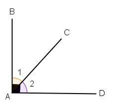 Quiz Sciences