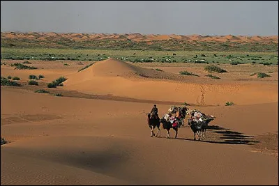 Asie : si l'on considère l'Amérique du Sud et l'Amérique du Nord comme un seul continent, l'Asie est-elle le plus grand continent du monde ?