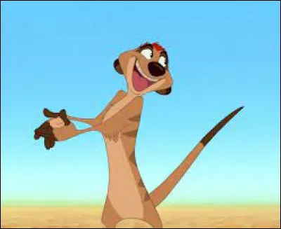 Dans "Le Roi lion", quel animal est Timon ?