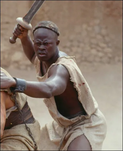 Dans quel film Djimon Hounsou est-il un gladiateur ?