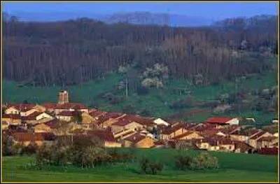 Notre première balade de la semaine commence dans le Grand-Est, à Anthelupt. Village de l'arrondissement de Lunéville, il se situe dans le département ...