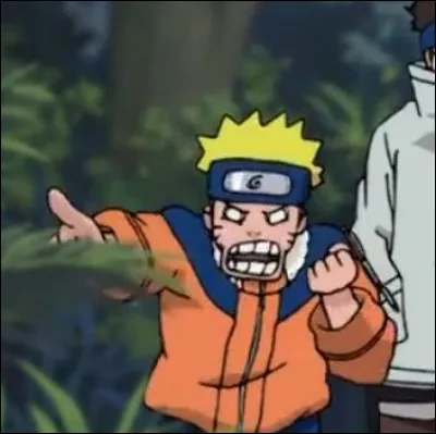 Quel est le nom de famille de Naruto ?