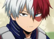 Quiz Shoto Todoroki