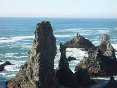 À quel peintre impressionniste les les aiguilles de Port-Coton, en Bretagne, doivent-elles leur renommée ?