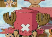 Quiz Quiz sur Tony-Tony Chopper