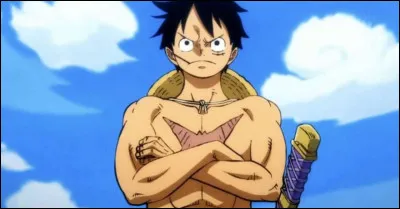 Quelle est la prime de Luffy ?