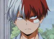 Quiz Connais-tu bien Shoto Todoroki ?