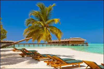 Tu passes tes vacances avec des amis dans un appartement à la mer.