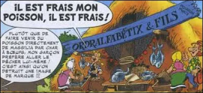 Dans "L'Anniversaire d'Astérix et Obélix, le livre d'or", nous voyons que Bonemine et Abraracourcix, vieillis de 50 ans, ont ...