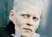 Quiz Grindelwald, qui est-il vraiment ?