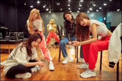 Pour commencer, une question super facile : combien sont les BlackPink ?