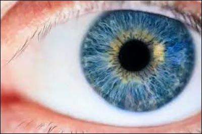 Quelle est la couleur de tes yeux ?