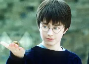 Test Quel personnage de ''Harry Potter'' es-tu ?