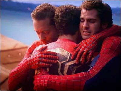 Quel est ce film avec Tobey Maguire, Andrew Garfield et Tom Holland ?