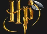 Quiz Harry Potter - Qui suis-je ?