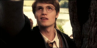 James Potter est un :