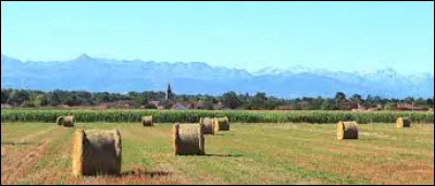 Je vous propose de commencer notre balade en Occitanie, à Aurensan. Commune de l'aire d'attraction Tarbaise, elle se situe dans le département ...