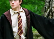 Quiz Es-tu vraiment un(e) Potterhead ?