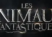 Test Qui es-tu dans ''Les Animaux fantastiques'' ?