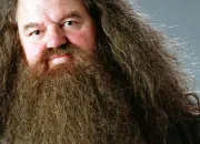 Quiz Rubeus Hagrid