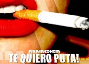 Quiz 'Te quiero p*ta !' - Rammstein