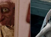 Test Quel elfe de maison es-tu entre Dobby et Kreattur ?