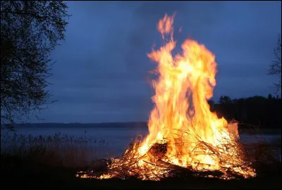 Il y a un feu chez tes voisins, mais il semble que leur chien et leur enfant sont encore dans la maison. Que fais-tu ?