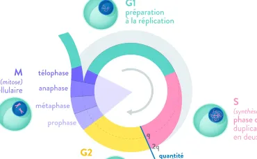 Quiz Sciences