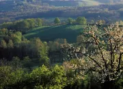 Quiz Cantal, Corrze ou Lozre ?