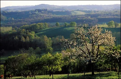 C'est nettement le plus peuplé des trois, avec 240 000 habitants et une densité de 41 habitants/km² :