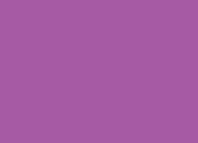 Quiz Les couleurs : violet