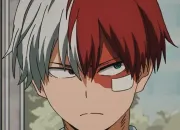 Quiz Connais-tu bien Shoto Todoroki