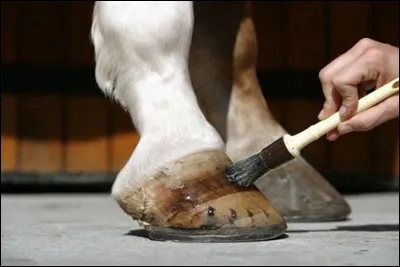 Qu'est-ce que "graisser" ton cheval ou ton poney ?