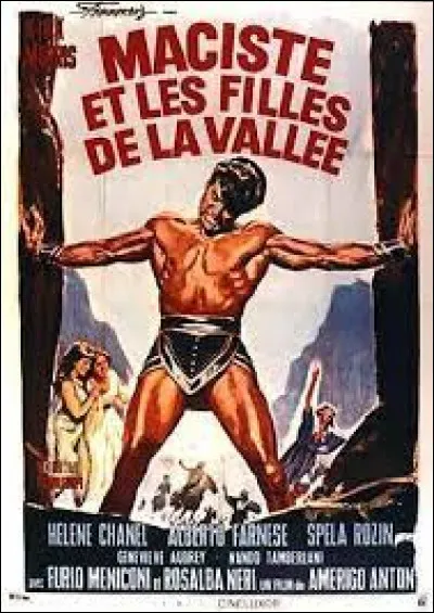 De quel pays est originaire ce film ?