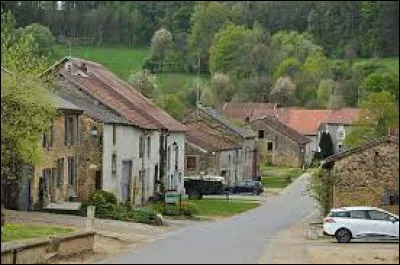 Aujourd'hui, je vous propose de démarrer notre balade à la frontière Belge, à Auflance. Petit village du Grand-Est de 87 habitants, il se situe dans le département ...